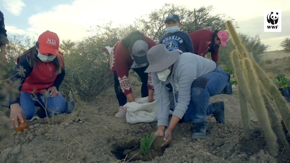 Restaurar el ecosistema en la quebrada Cabeza de Toro
